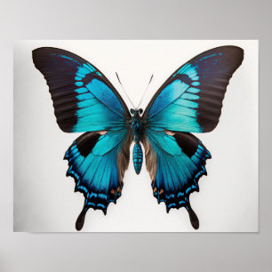 Bleu Ulysses Papillon Art Imprimer Poster