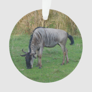 Bleu Wildebeest #1 Ornement