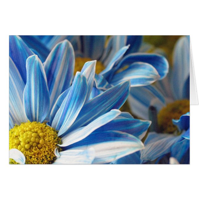 Bleues daubes #2 (Devant horizontal)