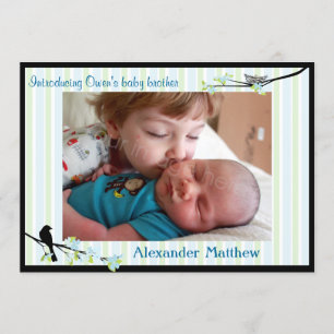 Bleus de faire-part de naissance d'oiseau et de