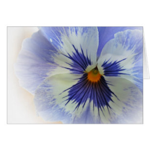 Bleus de pensée