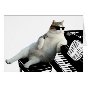 Blind cat pianist
