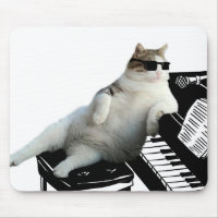 Blind cat pianist
