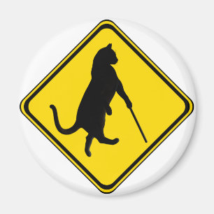 Blind Cats Crossing ! Magnet