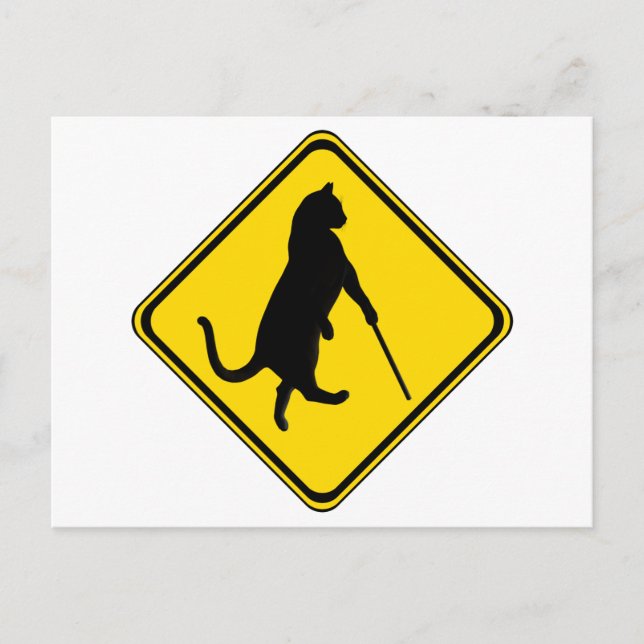 Blind Cats Crossing ! Postcard (Front)