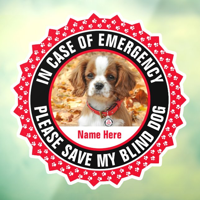 Blind Dog Safety Alert First Responder Photo Name Window Cling (Sheet 3)