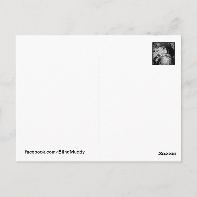 Blind Muddy Visions #2 Postcard (Back)