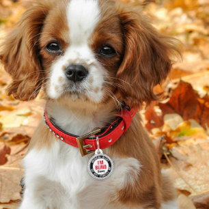 Blind Pet Medical Alert Custom Name Black Red Tag