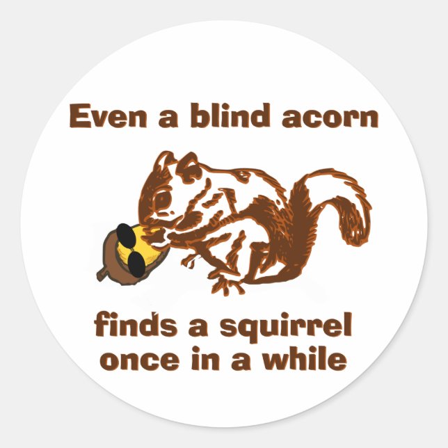 Blind Squirrel Classic Round Sticker (Front)