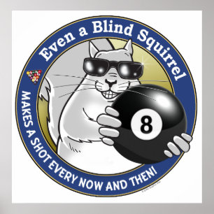 Blind Squirrel Pool Poster