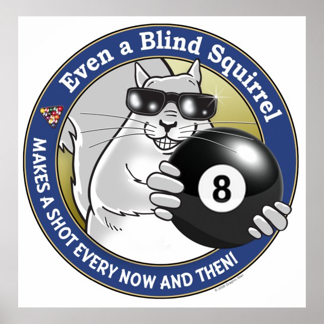 Blind Squirrel Pool Poster (Front)