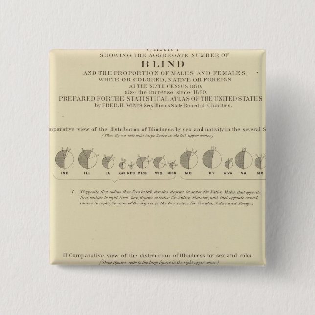 Blindness, Statistical US Lithograph 1870 2 Inch Square Button (Front)