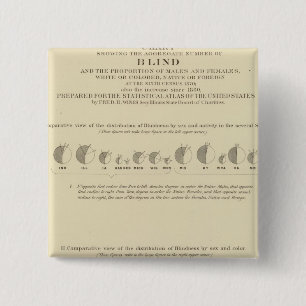 Blindness, Statistical US Lithograph 1870 2 Inch Square Button