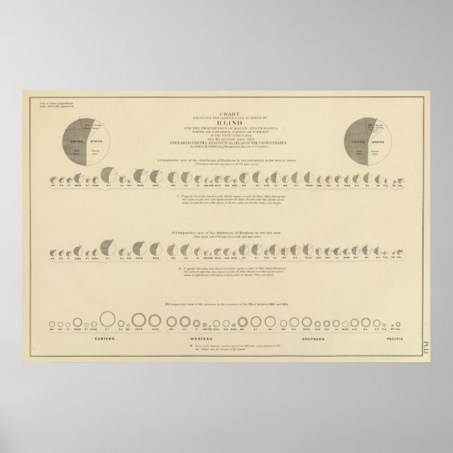 Blindness, Statistical US Lithograph 1870 Poster (Front)