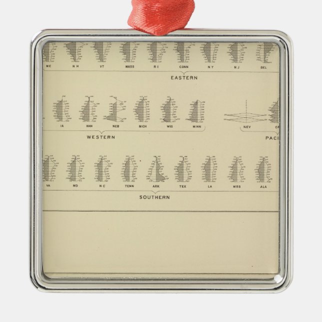 Blindness, Statistical US Lithograph Metal Ornament (Front)