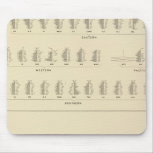 Blindness, Statistical US Lithograph Mouse Pad