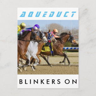 Blinkers On Postcard