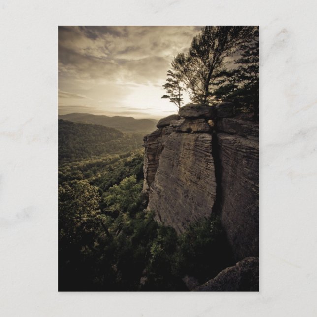 Bliss and ReUnion Postcard (Front)