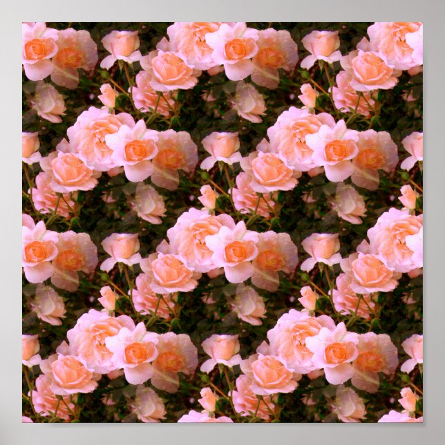 Bliss of Spring.... Poster (Front)