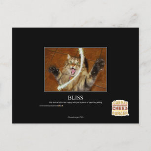 Bliss Postcard