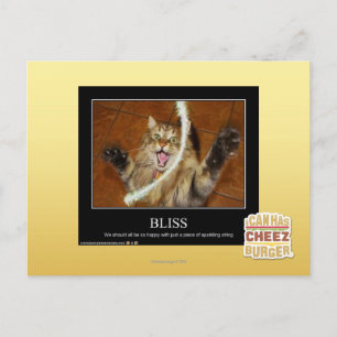 Bliss Postcard