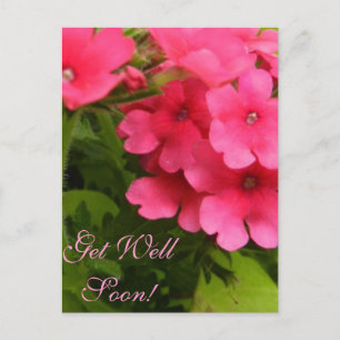 Blissful Blossoms Get Well Soon Postcard