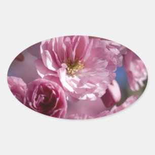 Blissful Blossoms Oval Sticker