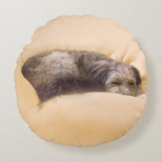 Blissful Sleep with a Mixed-Breed Dog (Green) Round Pillow