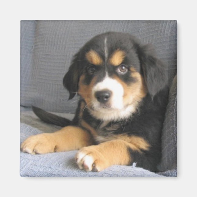 Blitzen Magnet (Front)