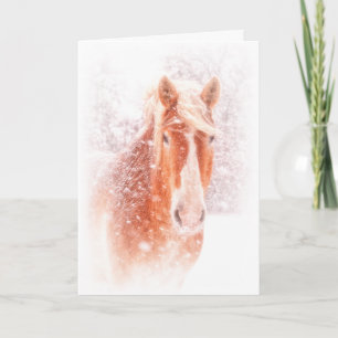 Blizzard Belgian Holiday Card