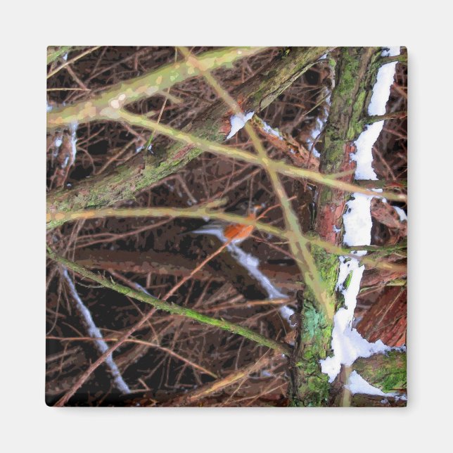 Blizzard Bird CB Magnet (Front)