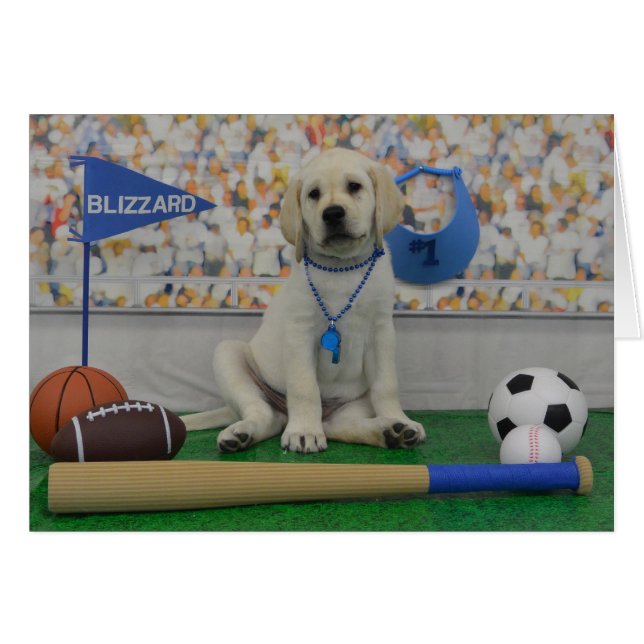 Blizzard Sports Card (Front Horizontal)