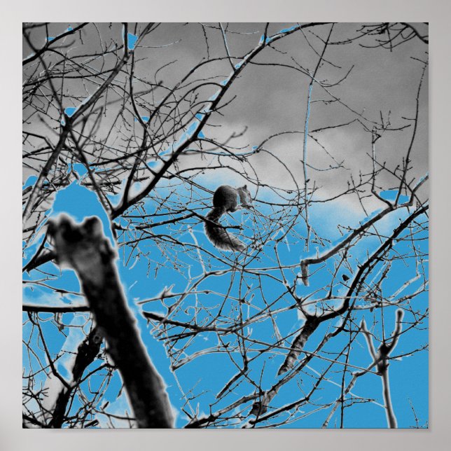 Blizzard Squirel B+W Poster (Front)