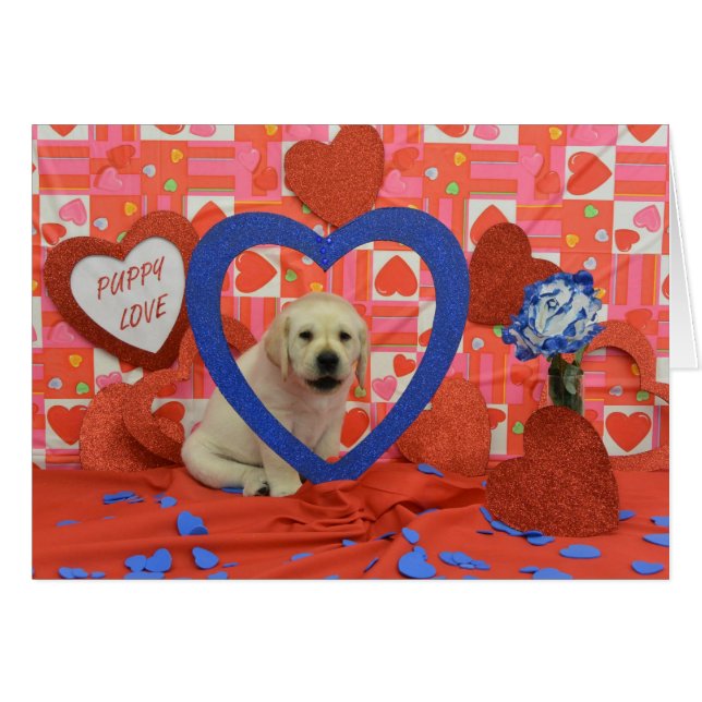 Blizzard Week 6 Photo (Front Horizontal)