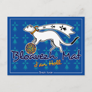 Bloavezh mat d'an holl (Bonne année à tous) Postcard