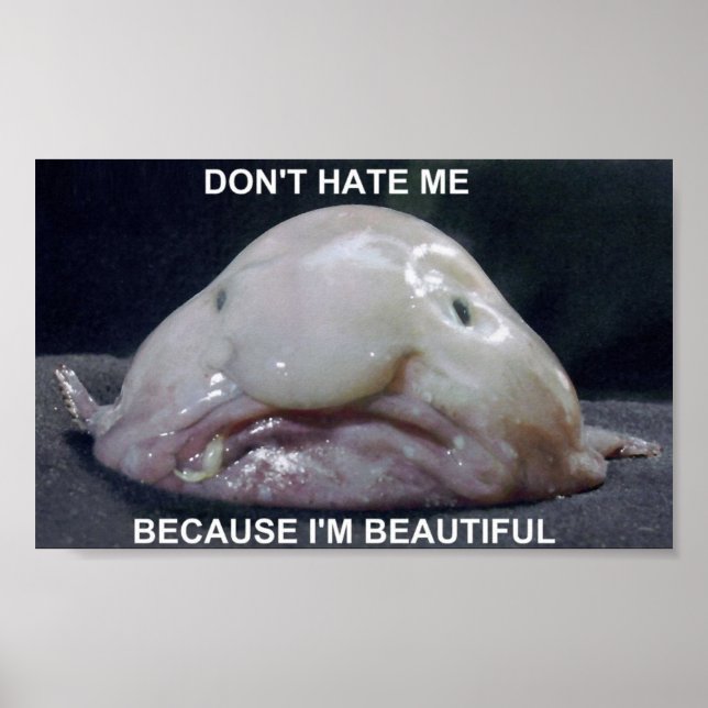 blobfish1 poster (Front)