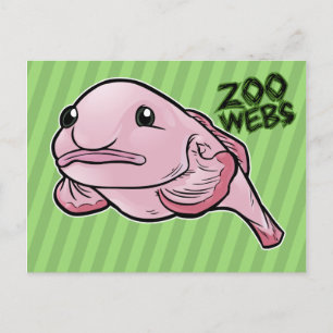 Blobfish Postcard