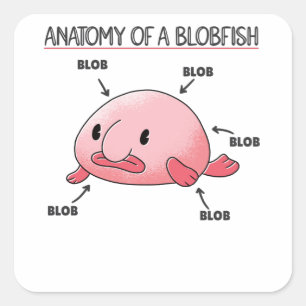 Blobfish Statement Anatomy Of Blobfish Square Sticker
