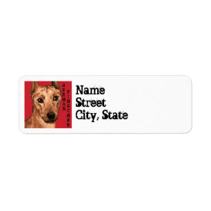 Bloc de couleur Pinscher allemand