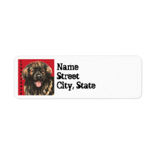 Bloc de couleurs Leonberger