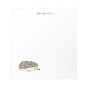 Bloc De Notas Hedgehog notepad, watercolor hedgeho Notepad
