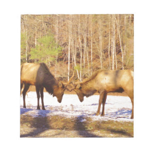 Bloc-note 2~ deux Bull Elk dans la neige