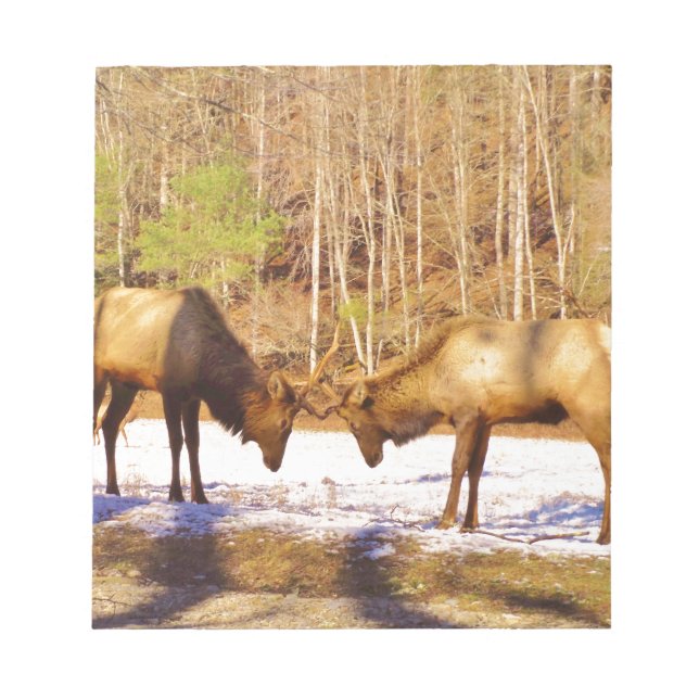 Bloc-note 2~ deux Bull Elk dans la neige (Devant)