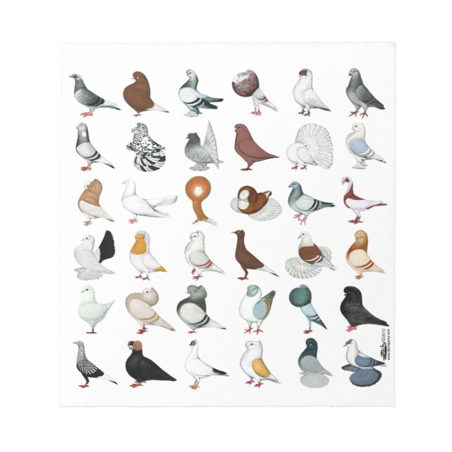 Bloc-note 36 races de pigeons (Devant)