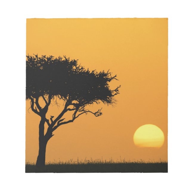 Bloc-note Acacia solitaire en silhouette au lever du soleil, (Devant)