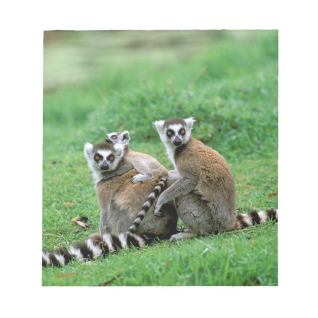 Bloc-note Afrique, Madagascar, Antananarivo, Tsimbazaza (Devant)