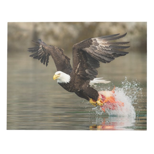 Bloc-note Aigle à tête plate (Devant)