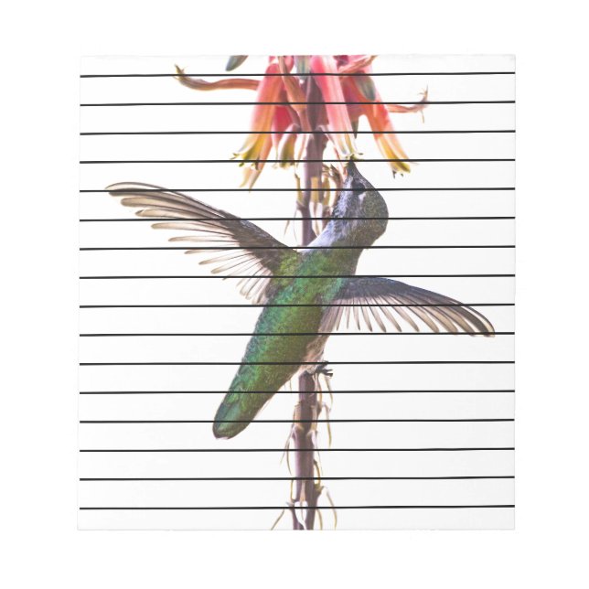 Bloc-note Ailes de colibri (Devant)