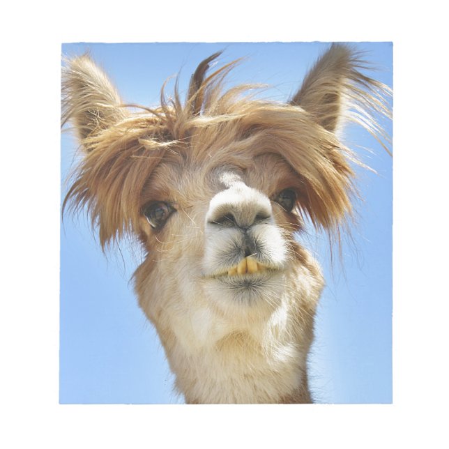Bloc-note Alpaca avec la tête folle (Devant)