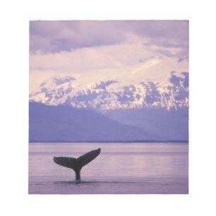 Bloc-note Amérique du Nord, États-Unis, Alaska, Passage inté